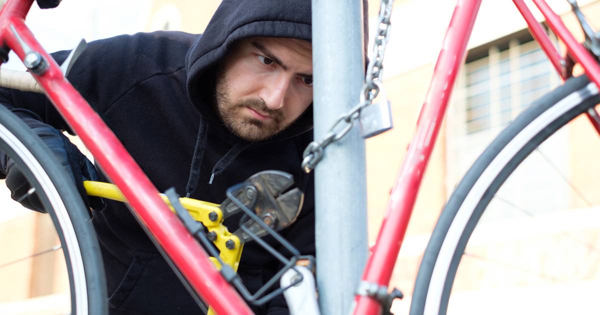Reggisella Ribaltabile Con Serratura Per Bici Elettrica – Acciaio Zincato Antiruggine, Con Blocco E Cuscinetto In Gomma Regolabile, Per Proteggere La Batteria Dai Furti