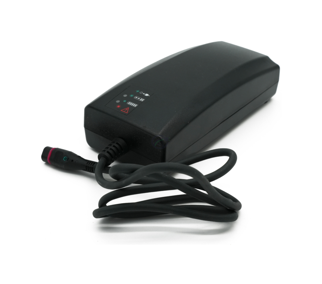 Vista a tre quarti del caricabatterie Alber Neodrives Z20 V8 RS con l'indicatore di carica visibile.
