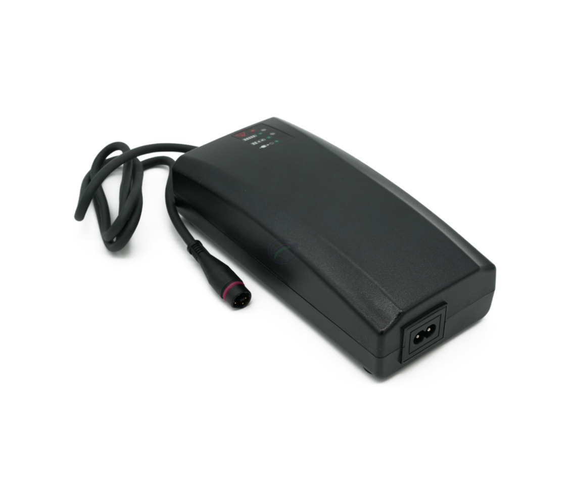 Vista a tre quarti del caricabatterie Alber Neodrives Z20 V8 RS dalla parte anteriore, senza il cavo di alimentazione.