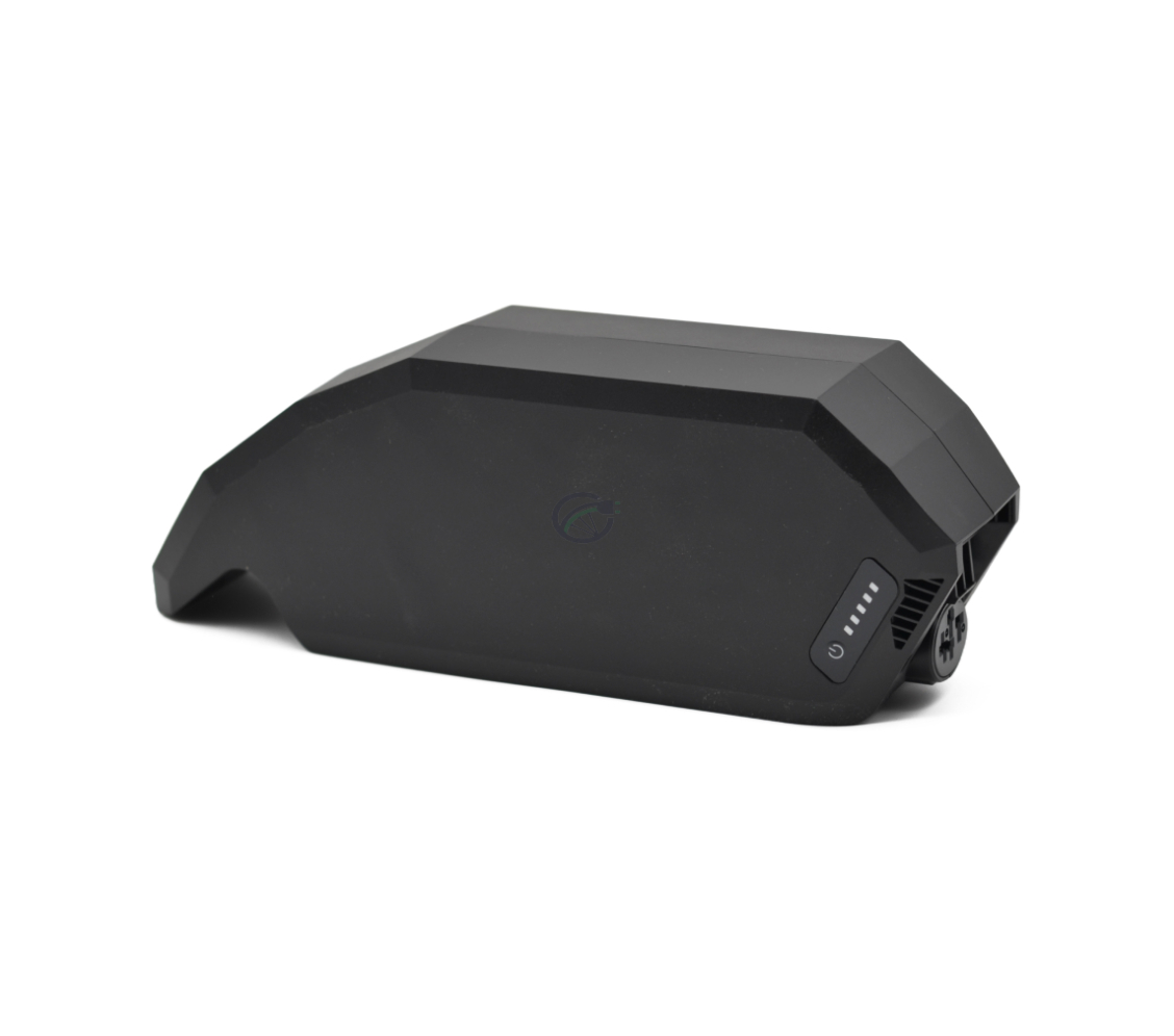 Vista laterale della batteria per bici Bosch Powerpack 700 Active/Performance telaio E-Bike Vision.