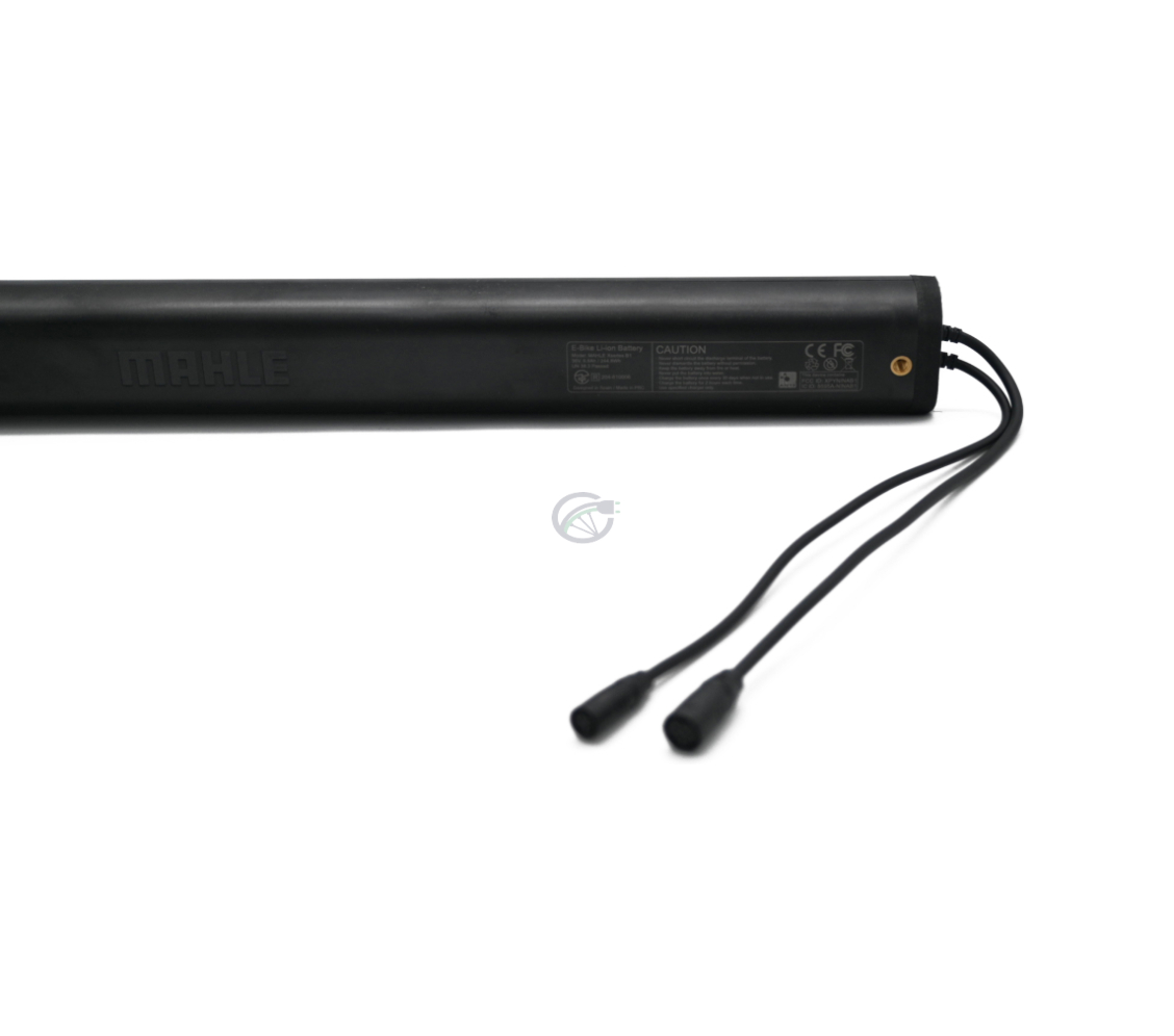 Due dei cavi della batteria per bicicletta Mahle X35 B1-D Smart