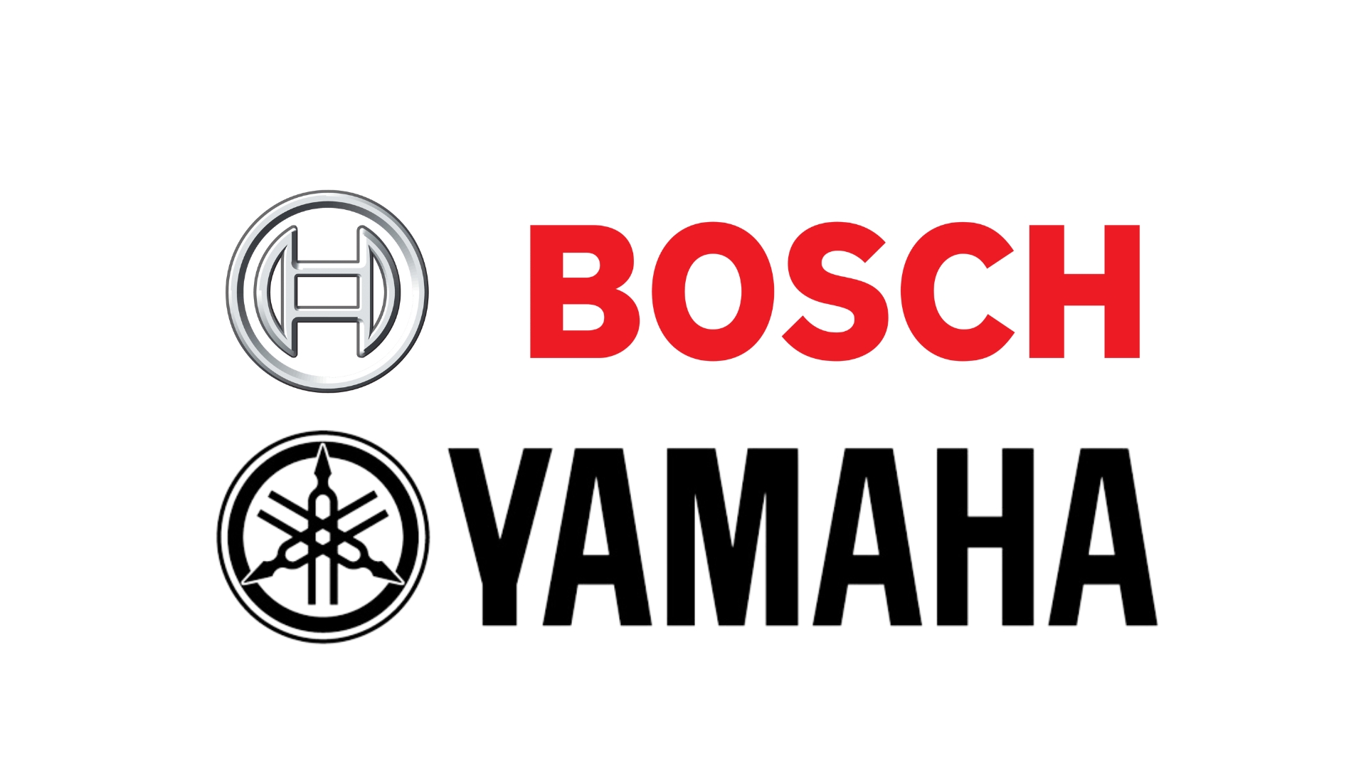 Batterie per biciclette elettriche Bosch e Yamaha